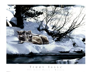 Wolves Relaxing on Snow Bank by River The Good Place.Wolves Terry Isaac 28x22 in - Picture 1 of 1