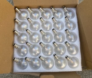 Pallerina G40 LED Replacement Bulbs : Open Box of 25 : 0.6 W : Warm White - Picture 1 of 3