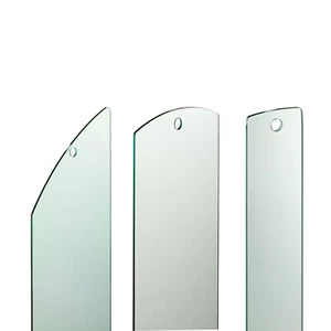 Elements 6mm Glass Panel for Raked or Landing Staircase - Picture 1 of 17