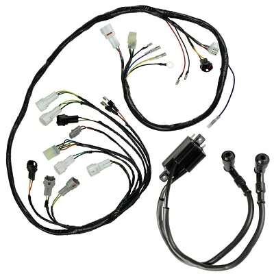 Arnés de cables para Yamaha Banshee 350 YFZ350 2002 2003 2004-2006 con bobina de encendido Foto 1 de 4