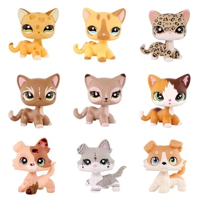 【TÚ ELIGES】Mini tienda de mascotas linda figura hágalo usted mismo juguetes Collie gato de pelo corto lindo regalo para niños Foto 1 de 4
