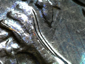 1973 D Eisenhower Dollar DDR - Bild 1 von 23