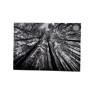 NUEVO SELLADO Bgraamiens Puzzle-Bosque en Blanco y Negro-1000 Piezas Foto 1 de 4