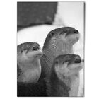 A1 - BW - Cute Otter Family Animals Wild Poster 59.4x84.1cm180gsm Print #41216