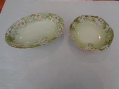 ANTIGUO VINTAGE ALEMÁN PT PINTADO A MANO FLORAL LIRIO PORCELANA VEGETALES Y TAZONES PARA SERVIR Foto 1 de 4