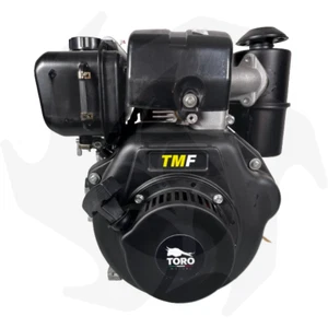 Motore diesel completo Toro Motori adattabile Yanmar LA170 avviamento a strappo - Imagen 1 de 6