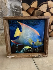 Arte de trampa de langosta hecho a mano por Nadine y Glenn Lahti en los Cayos de Florida azulejo de peces - Imagen 1 de 14