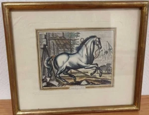 RIDINGER Johann Elias 1698-1767 d'après Eau-forte polychrome XIX "Galop désuni " - Imagen 1 de 2