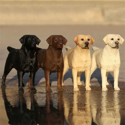 JXK 1:6 Labrador Retriever Dog Model Pet Animal Figure Collection Decor Gift - Image 1 of 4