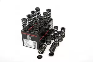 Muelles y tapas de válvula única Piper para Ford Fiesta MK7 ST180 ST200 1.6 EcoBoost - Imagen 1 de 3