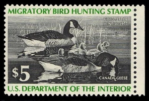 RW43 — XF-SUPERB 95 Mint NH, PSE Certificate - Picture 1 of 1