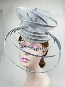 Big Fascinator Hat Royal Ascot Pillbox Caps Mesh Headpiece Women Wedding Party - Picture 1 of 15