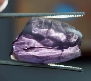 Piedra preciosa ruda brasileña bicolor alejandrita natural con certificación de 63,45 quilates - Imagen 1 de 8