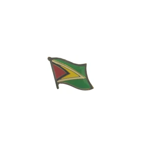 Guyana Anstecknadel / Guyana Pin / Guyana Flagge  - Bild 1 von 1