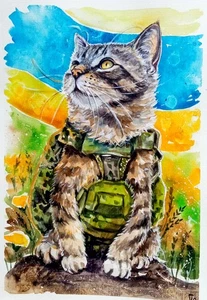 Ukrainian War Cat – Original Watercolor Painting from photo, Ukraine art Cats - Picture 1 of 8