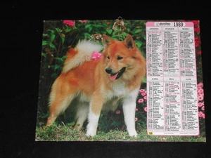 Calendar Ptt 1989 Pyrenean Shepherd - Picture 1 of 1