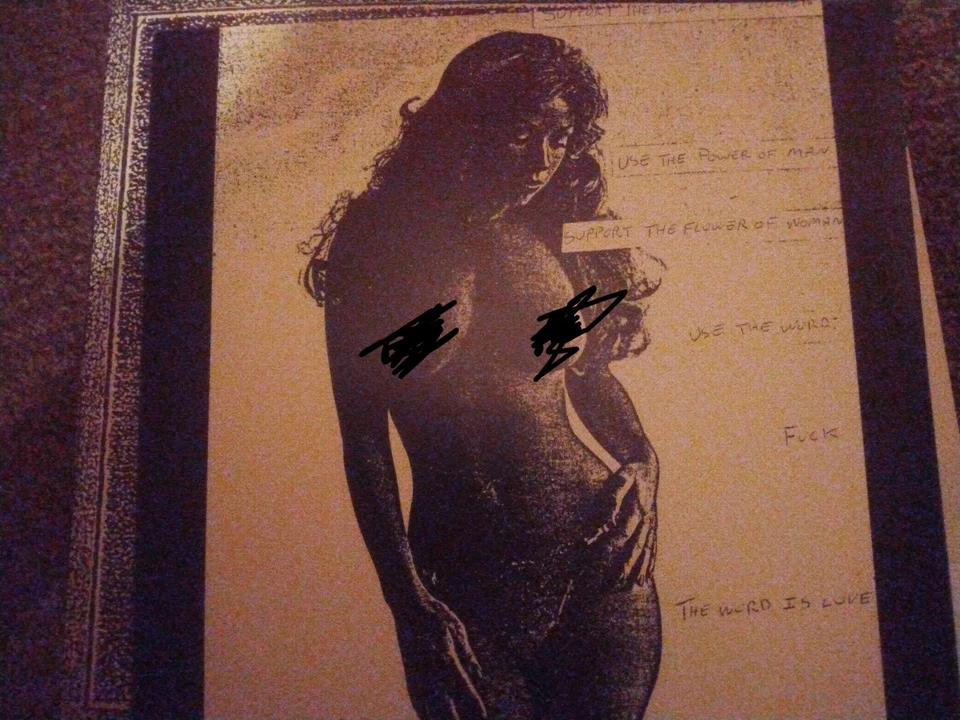 Sonic Youth - цветок/Хэллоуин 12" сингл - Изображение 1 из 1