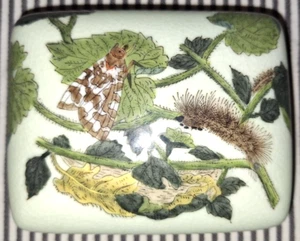 HomART BUTTERFLY CATAPILLAR ASIAN MOTH LIFE CYCLE POTTERY COVERED TRINKET BOX - Picture 1 of 8