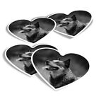 4x Heart Stickers - BW - Australian Cattle Dog Puppy #35238