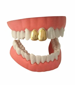 Hip Hop 14K vergoldete doppelte zweizahnige Zähne Metallgrill Grill Hundekappe - Bild 1 von 2