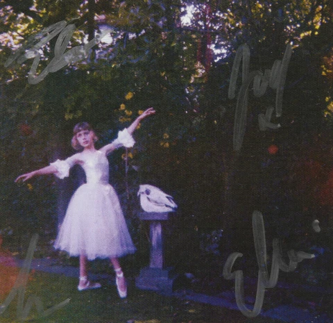 Visions Of A Life * by Wolf Alice (CD, 2017, RCA) Listen B 4 U Die SIGNED Cover