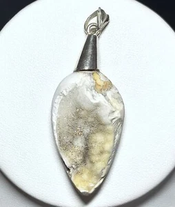 Spiralite Fossil Druzy Shell 925 Sterling Silver Pendant Jewelry JY2113 - Picture 1 of 1