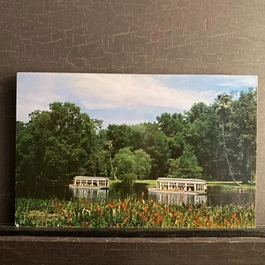 Florida Silver Springs FL Glass Bottom Tour Boats Chrome Postcard UNP - Picture 1 of 2