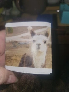 Llama Skeins - Picture 1 of 3