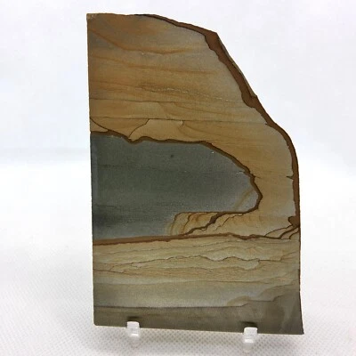Picture Jasper, landscape, slab, cabbing rough, #R-5832 - Image 1 of 4