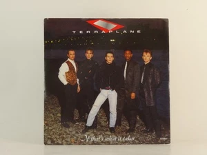 TERRAPLANE IF THAT'S WHAT IT TAKES (1) (89) 2 Track 7" Single with Picture Sleev - Picture 1 of 7
