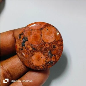 Poppy Jasper Natural Poppy Jasper Cabochon Loose Gemstone Jewelry 45 Ct.ME-10396 - Picture 1 of 4