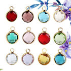 12 Pcs DIY Pendant Charms Plated Birthstone Dangle Beads Women's Vintage Chip