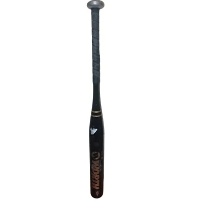 Bate de softbol medallista de oro Michele Smith SWBTB Worth 29" 20oz -9 Foto 1 de 4