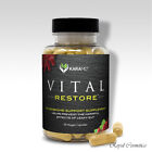 KaraMD Vital Restore Probiotic Enzymes Energy Leaky Gut Repair 90 Caps