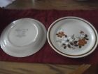 6 Highland Florals Stoneware Mountain Floral Dinner Platesvintage Japan 10 3/4"