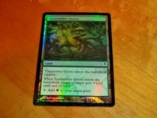 1x Foil - Turntimber Grove - Magic the Gathering MTG Zendikar