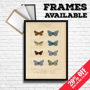 Póster de MARIPOSAS, Estampado de Arte de Pared de Colección, Decoración de Pub Home Cafefé BB - Imagen 1 de 4