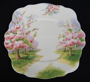 ROYAL ALBERT Bone China Blossom Time Quadratischer Kuchenteller mit Griff 9,75" England - Bild 1 von 3