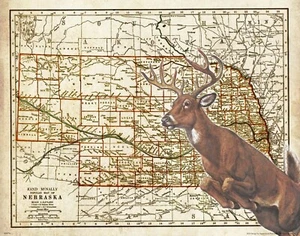 Whitetail Deer Hunting Vintage Nebraska State Map Art Print Cabin Wall Decor - Picture 1 of 1