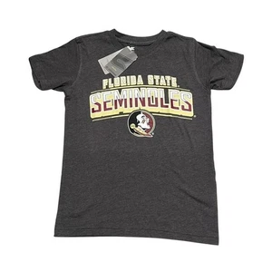 Florida State Seminoles Coliseo Juvenil Gris Gráfico Camiseta Pequeña (8-10) Niños - Imagen 1 de 5