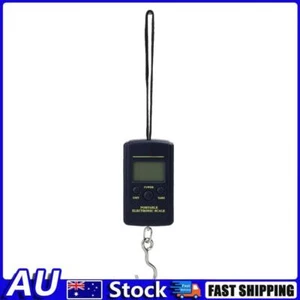 Portable LED 40kg/10g Electronic Hanging Fishing Digital Pocket Hook Scale - Picture 1 of 3