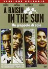 A Raisin In The Sun - Un Grappolo Di Sol (Dvd) (Uk Import)
