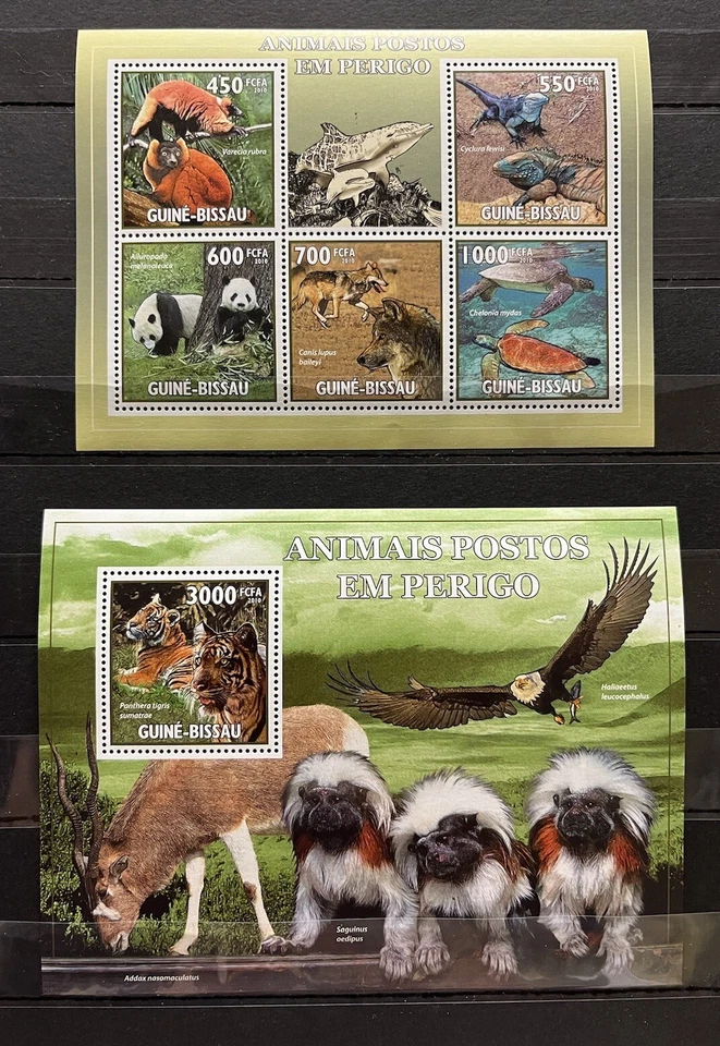 Panda / Animals  / Fauna / Nature - stamps - MNH** AF - Image 1 of 1