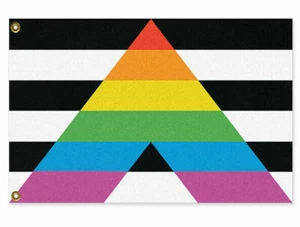 LGBTQ STRAIGHT ALLY Pride Flagge - LGBTQIA Equality Support PFLAG LGBT GLBT Symbol - Bild 1 von 7