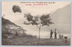 Hardanger, Norway - Fjord Transport Lines -Wires Hay Hordgland Unposted Postcard - Imagen 1 de 3