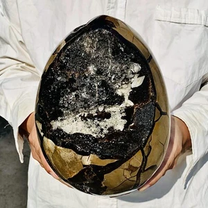 13.8LB Natural Turtle Back Stone Dragon Crystal Cave Crack Gem Healing - Picture 1 of 9