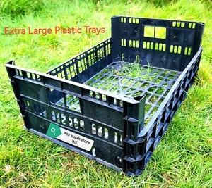 3  Extra Large Stackable Plastic Trays Crate Garden Container Baskets 60x40x18cm - Picture 1 of 3