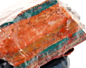 5.14oz Idaho Sunset Lone Juniper Jasper Agate Rough Raw Natural Rare Low Stock - Picture 1 of 10