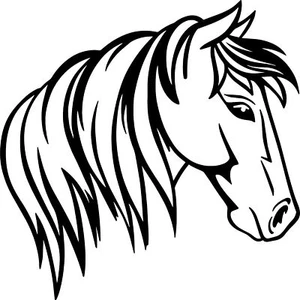 Pferd Vinyl Aufkleber Aufkleber für Auto/LKW/Van/Fenster/Wand/Laptop/Tür - Bild 1 von 1