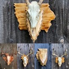 Deer Skull European Mount State Shape Wall Plaque Pedestal Burnt Pine 